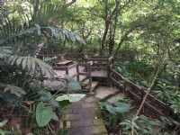富陽自然生態公園<br/> 攝影：Eva隨手拍