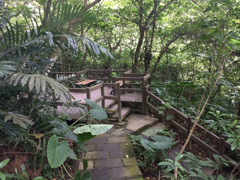 富陽自然生態公園 攝影：Eva隨手拍