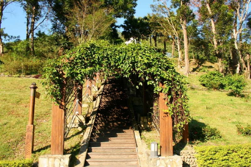 綠色廊道 攝影：老山羊部落格