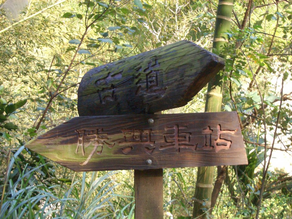 林中指標 攝影：鄭瑄頤