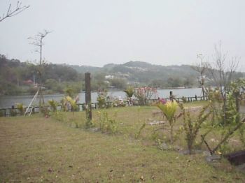 水庫旁草坪 攝影：郭香妙