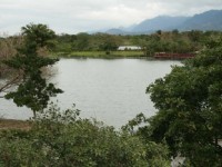 公園內清新秀麗湖景<br/> 攝影：老山羊部落格