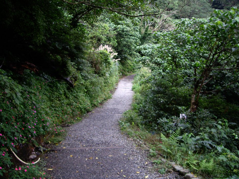 跑馬古道 攝影：Eva隨手拍