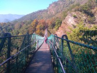奧萬大吊橋<br/> 攝影：Lu