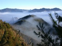 清晨的美景!<br/> 攝影：阿英的登山小站