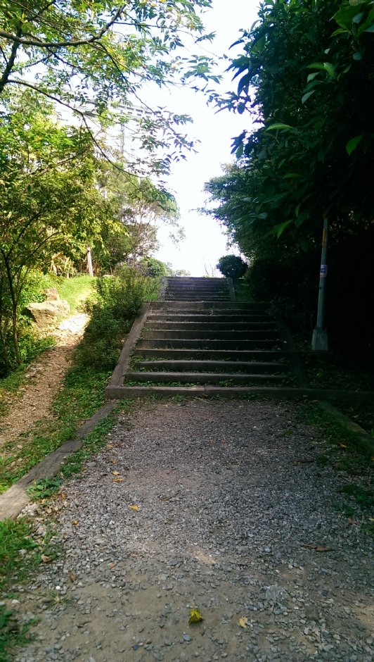 二叭子植物園 攝影：Eva隨手拍