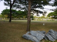 凹仔底森林公園草原區<br/> 攝影：旅遊王攝影組