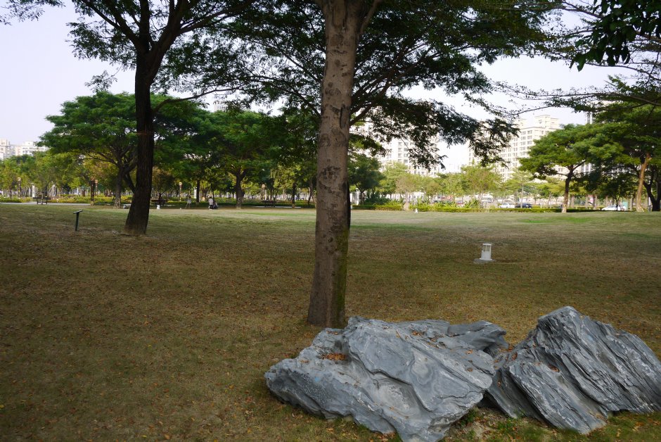 凹仔底森林公園草原區 攝影：旅遊王攝影組