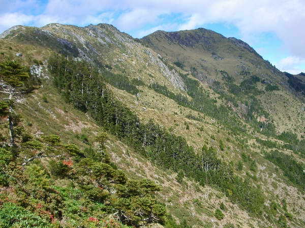 向陽山 攝影：老山羊資訊網