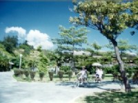 自行車道<br/> 攝影：<a href=http://ymca.network.com.tw/ target=_blank>台北市YMCA青影社</a>