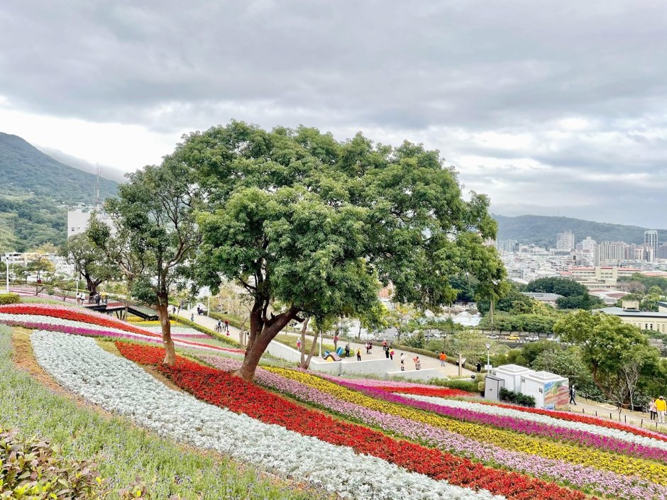 北投社三層崎公園大片花海被譽為台版富良野 攝影：Eva隨手拍