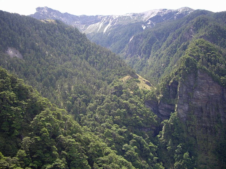 眺望玉山主峰 攝影：老山羊部落格