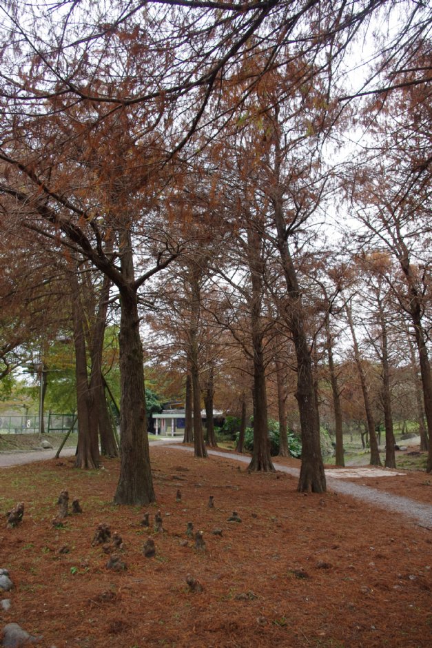 羅東運動公園 攝影：Eva隨手拍