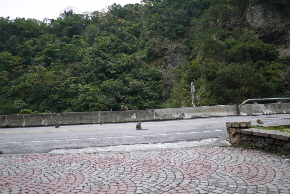 登仙橋休憩區 攝影：旅遊王攝影組