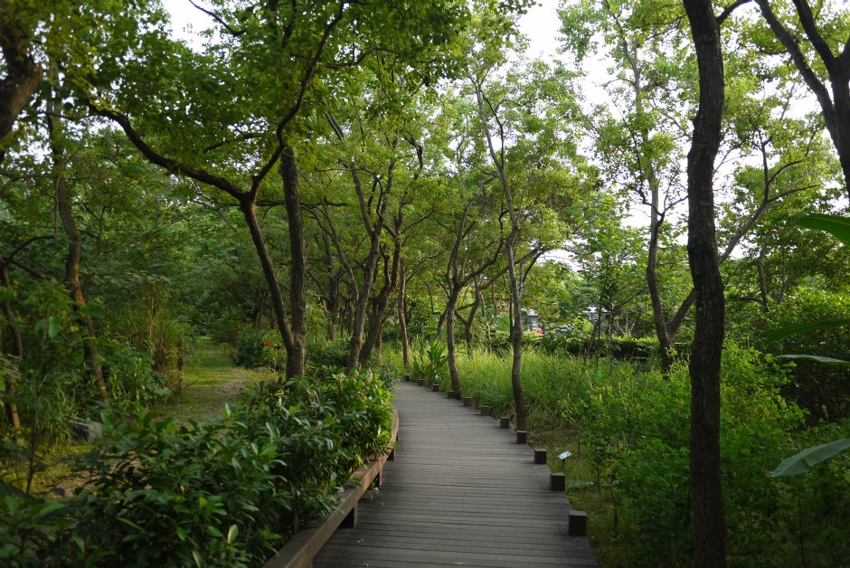 鳥松濕地公園 攝影：三井