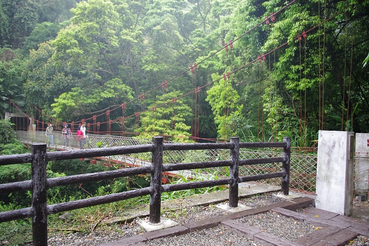 森林步道區 攝影：Eva隨手拍