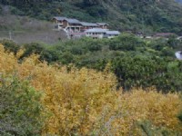 楓中小屋<br/> 攝影：楓林農場