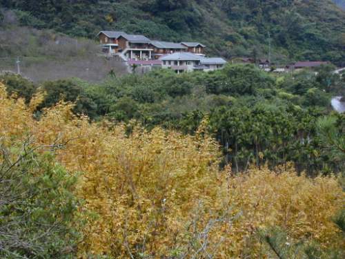 楓中小屋 攝影：楓林農場
