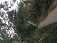 20170101高雄觀音山<br/> 攝影：旅遊王攝影組