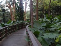 台北植物園<br/> 攝影：xcatx