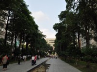 一景<br/> 攝影：amo