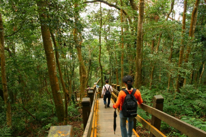 南線的陡坡階梯步道 攝影：老山羊部落格