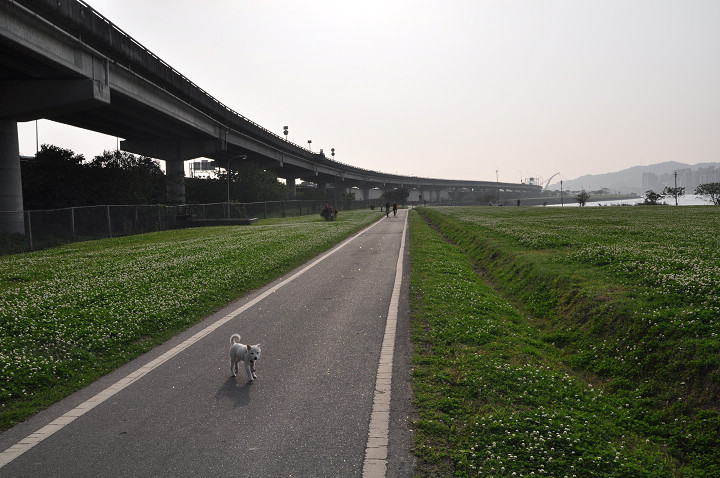 基隆河自行車道 攝影：amo