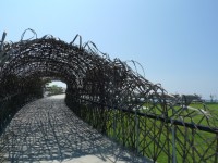 海濱公園(國際地標)<br/> 攝影：Eva隨手拍