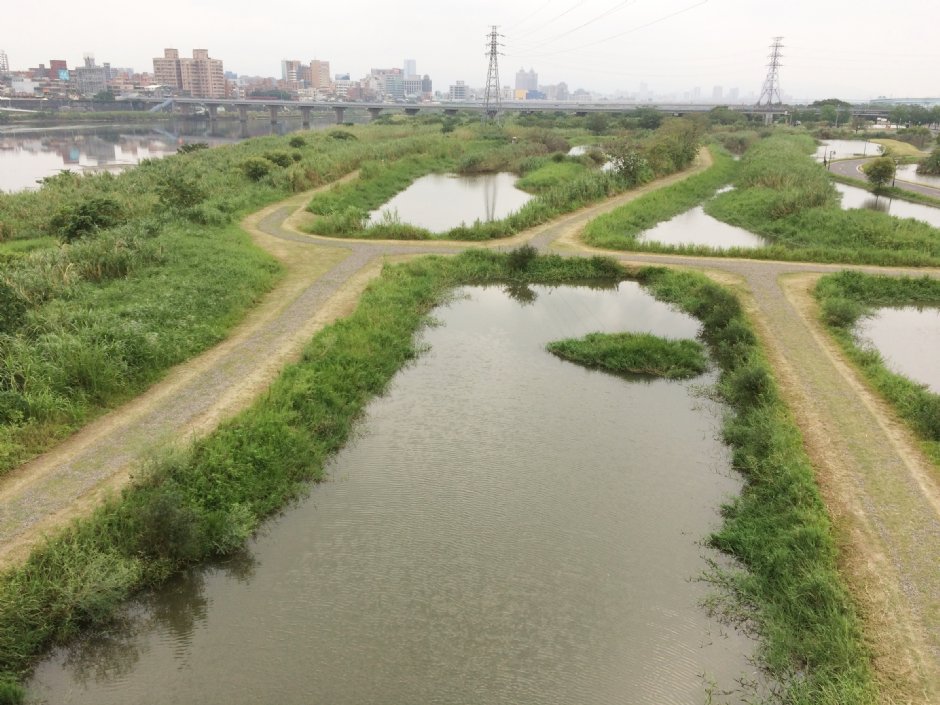 新海人工濕地 攝影：Eva隨手拍