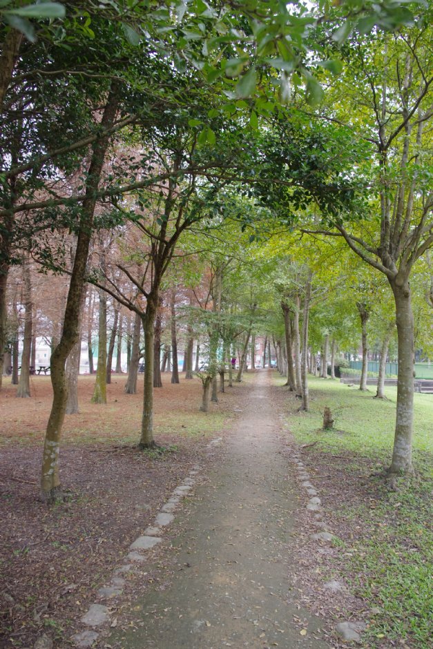 羅東運動公園 攝影：Eva隨手拍