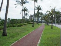 花蓮縣文化局藝文廣場<br/> 攝影：Eva隨手拍