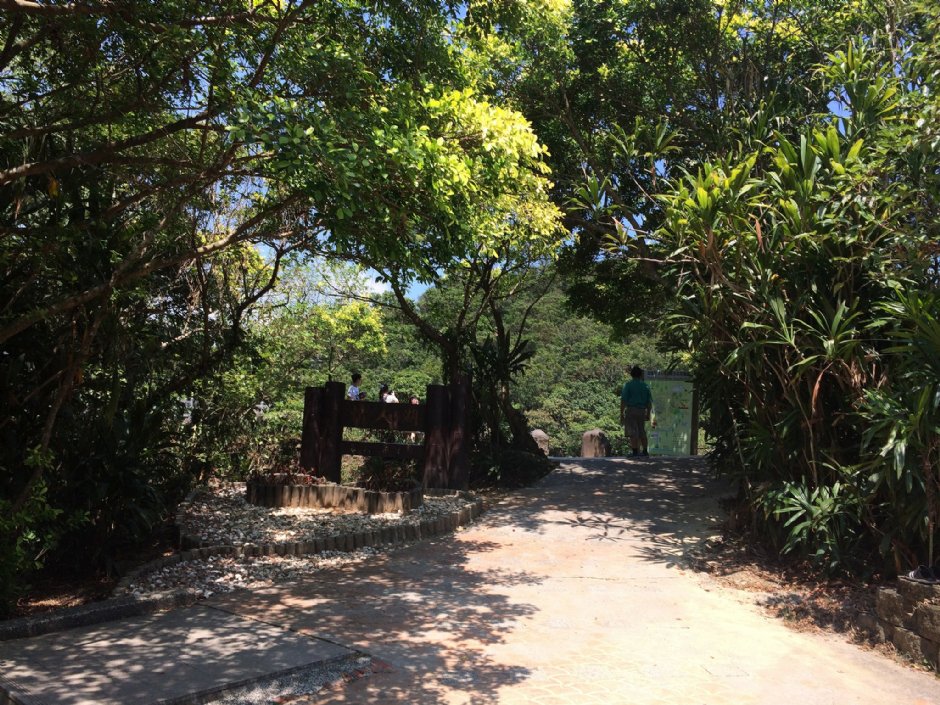 情人湖步道 攝影：Eva隨手拍