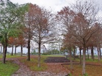 張公圍親水公園<br/> 攝影：Eva隨手拍