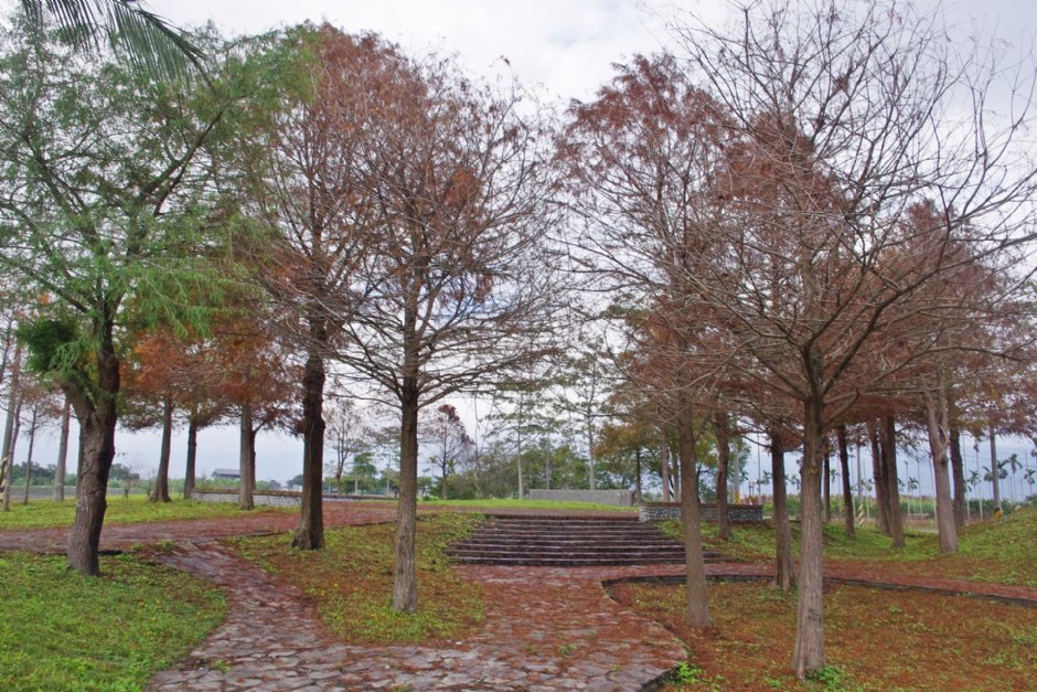 張公圍親水公園 攝影：Eva隨手拍