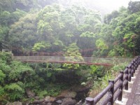 森林步道<br/> 攝影：Eva隨手拍