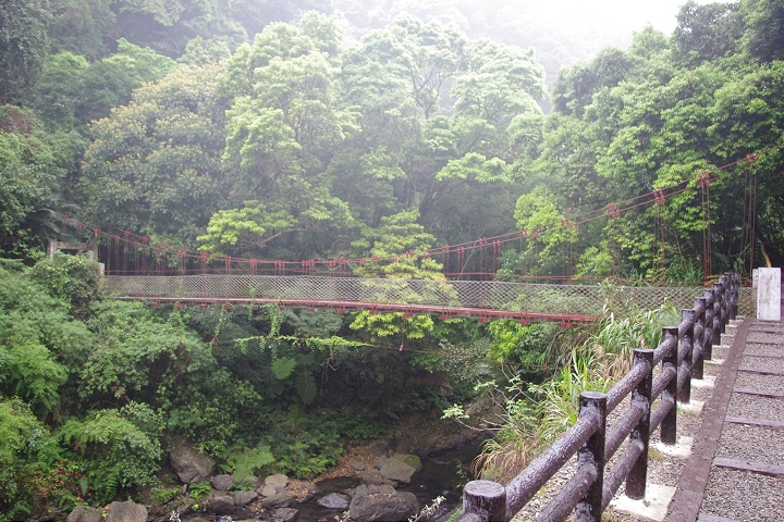 森林步道 攝影：Eva隨手拍