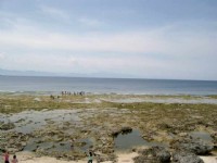 綠島海底公園<br/> 攝影：Eva隨手拍