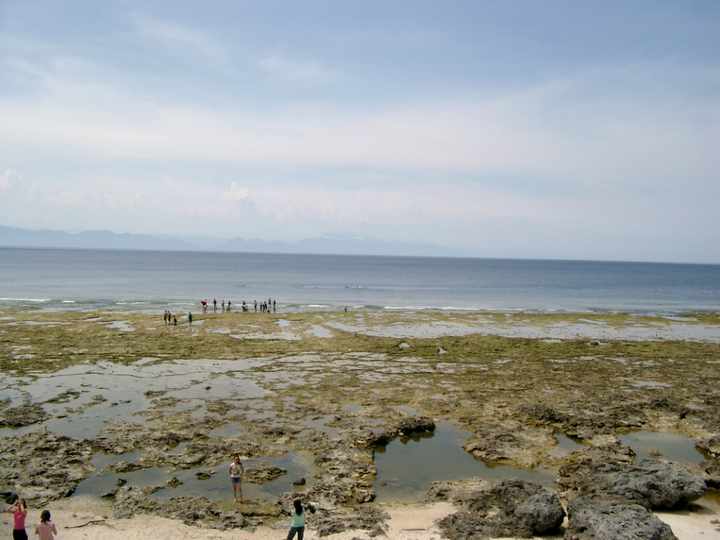 綠島海底公園 攝影：Eva隨手拍