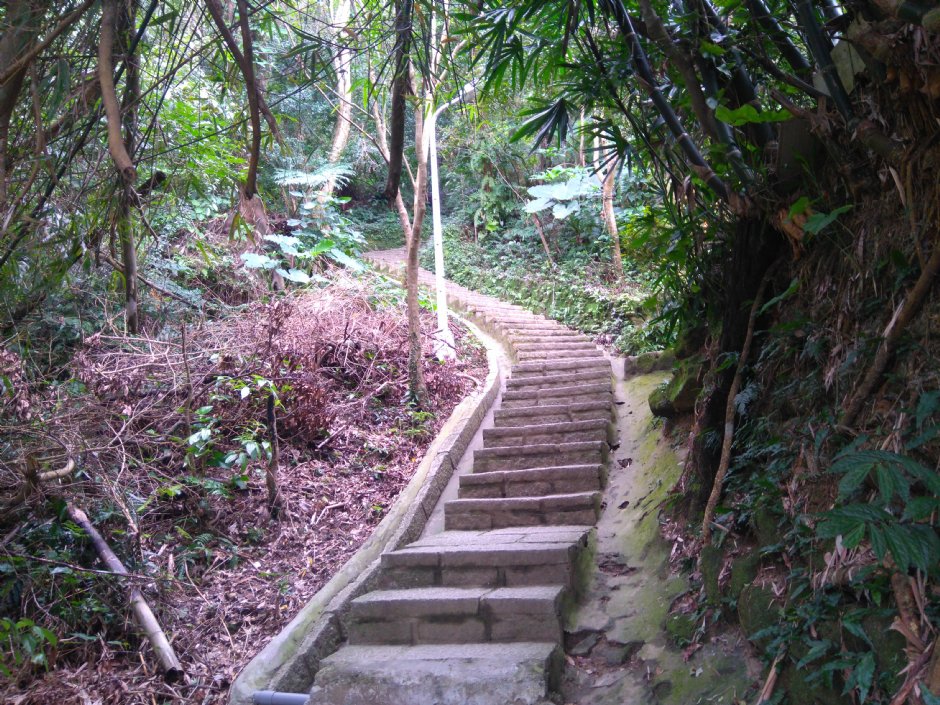 象山自然步道 攝影：Lu