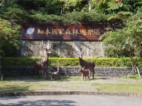 森林遊樂區大門<br/> 攝影：鄭瑄頤