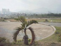 廣場<br/> 攝影：郭香妙