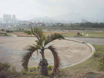 親情河濱公園-廣場