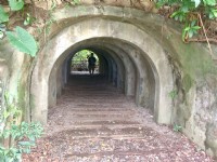 富陽自然生態公園<br/> 攝影：Eva隨手拍