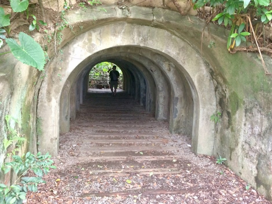 富陽自然生態公園 攝影：Eva隨手拍