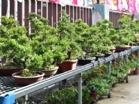 園區介紹<br/> 攝影：中社觀光花市