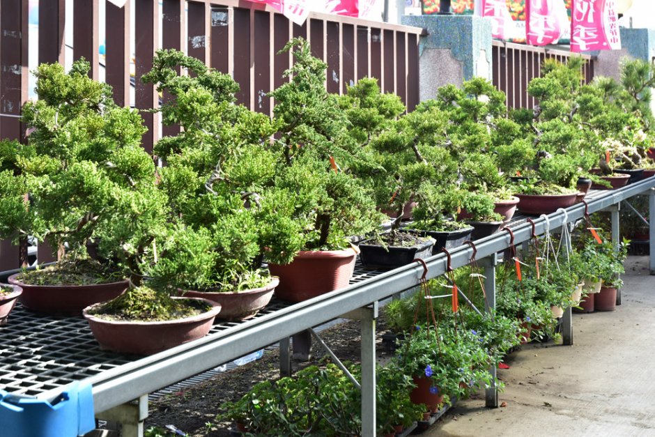 園區介紹 攝影：中社觀光花市