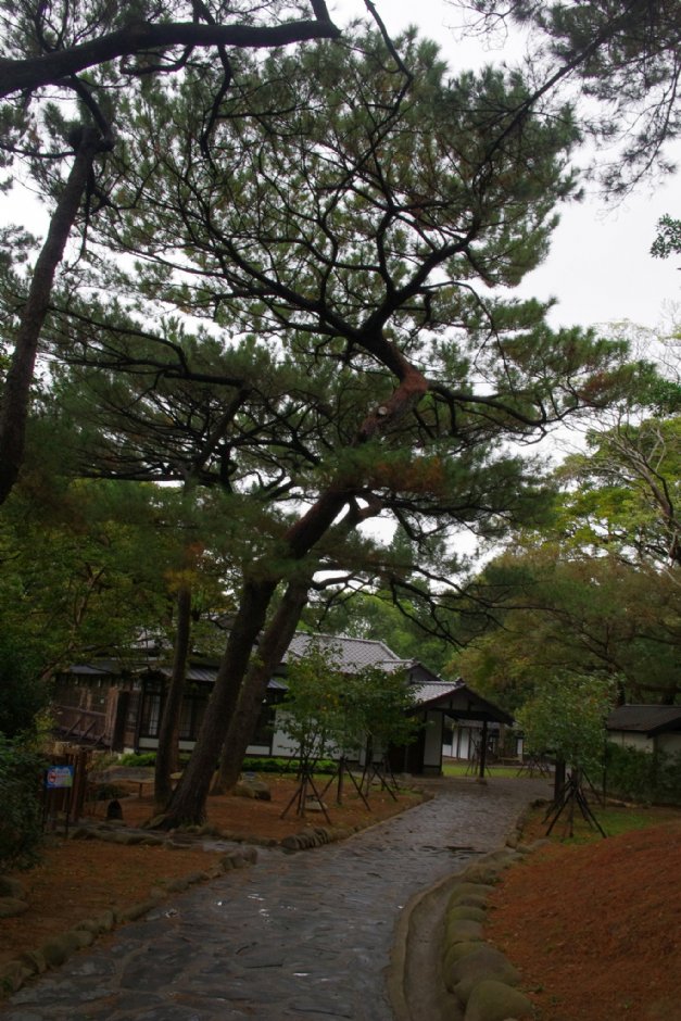 新竹公園 攝影：Eva隨手拍
