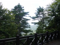 雲霧步道<br/> 攝影：旅遊王攝影組