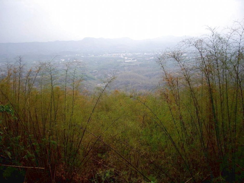 龍船山景點 攝影：老山羊資訊網