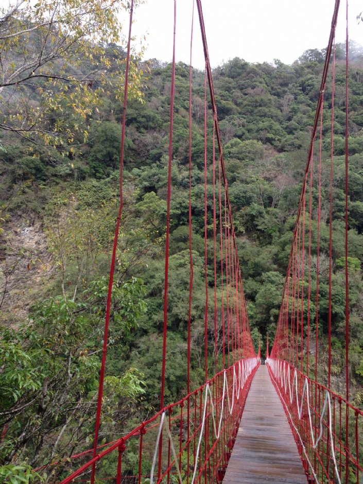 天龍吊橋 攝影：林錦萍